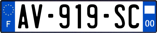 AV-919-SC