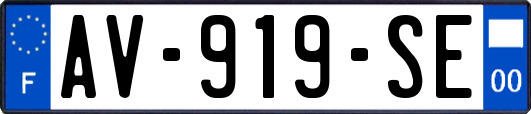 AV-919-SE