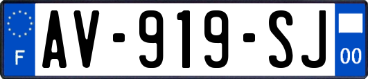 AV-919-SJ