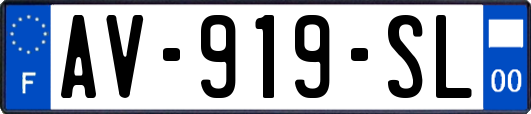 AV-919-SL