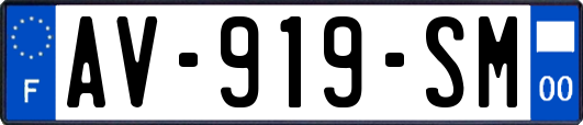 AV-919-SM