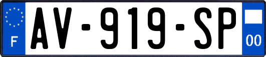 AV-919-SP