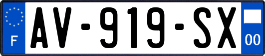 AV-919-SX