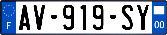 AV-919-SY