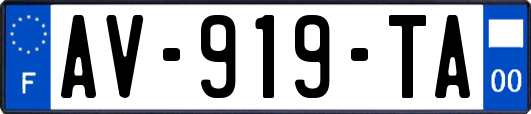 AV-919-TA
