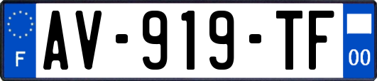 AV-919-TF