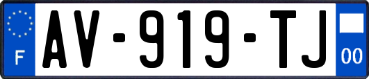 AV-919-TJ