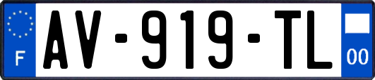AV-919-TL