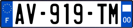 AV-919-TM