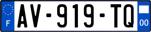 AV-919-TQ