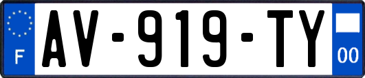 AV-919-TY