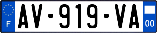 AV-919-VA