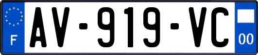 AV-919-VC