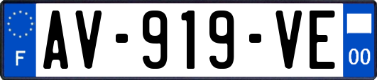 AV-919-VE