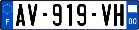AV-919-VH