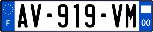 AV-919-VM