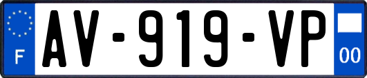AV-919-VP