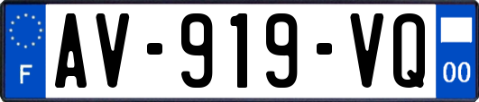 AV-919-VQ