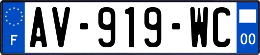 AV-919-WC