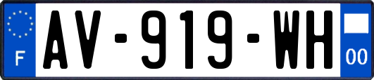 AV-919-WH