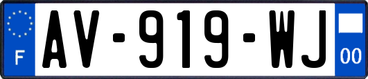 AV-919-WJ