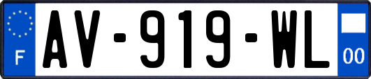 AV-919-WL