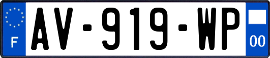AV-919-WP