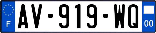 AV-919-WQ