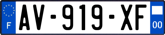AV-919-XF