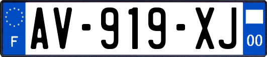 AV-919-XJ