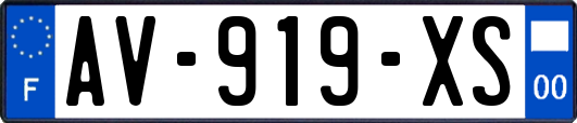 AV-919-XS