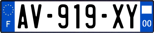 AV-919-XY