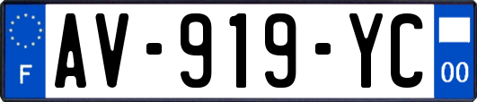 AV-919-YC