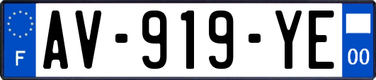 AV-919-YE