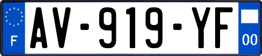 AV-919-YF