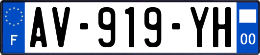 AV-919-YH