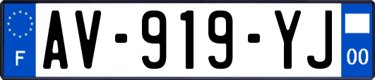 AV-919-YJ