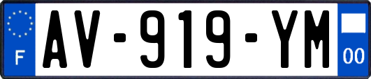 AV-919-YM