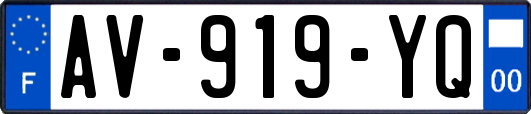 AV-919-YQ