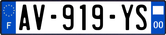 AV-919-YS