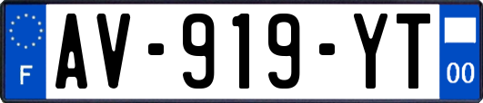 AV-919-YT