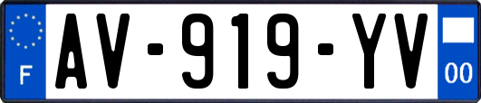 AV-919-YV