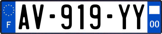 AV-919-YY