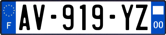 AV-919-YZ