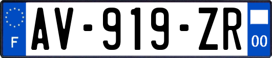AV-919-ZR