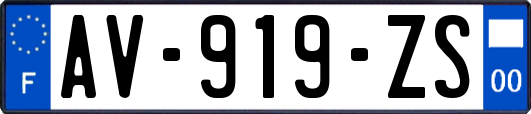 AV-919-ZS