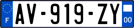 AV-919-ZY