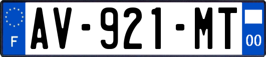AV-921-MT