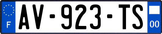 AV-923-TS