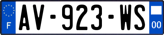 AV-923-WS
